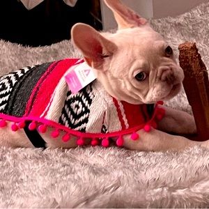 Dog clothing , ponchos and hoodies